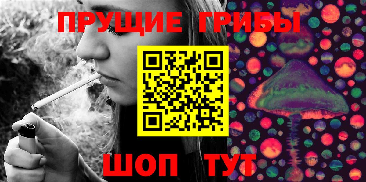 Галлюциногенные грибы Psilocybine cubensis Светлоград