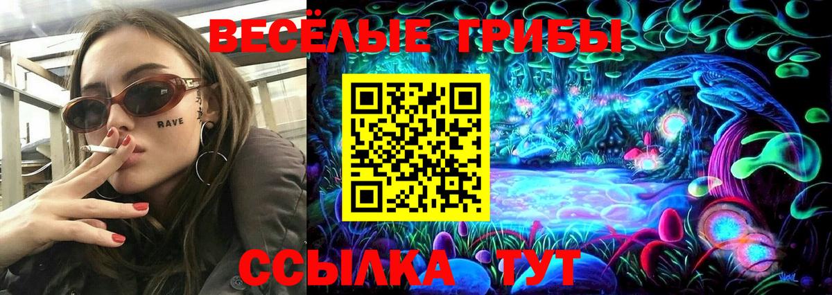 закладки  Галлюциногенные грибы Magic Shrooms  Вход с VPN  Светлоград 